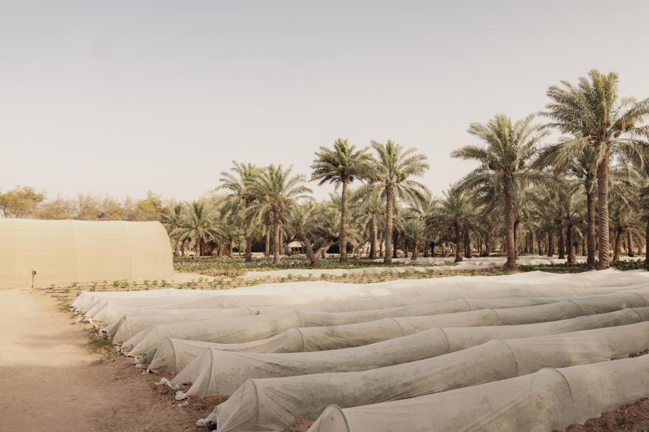 Heenat Salma Farm Ash-Shahaniyah Экстерьер фото